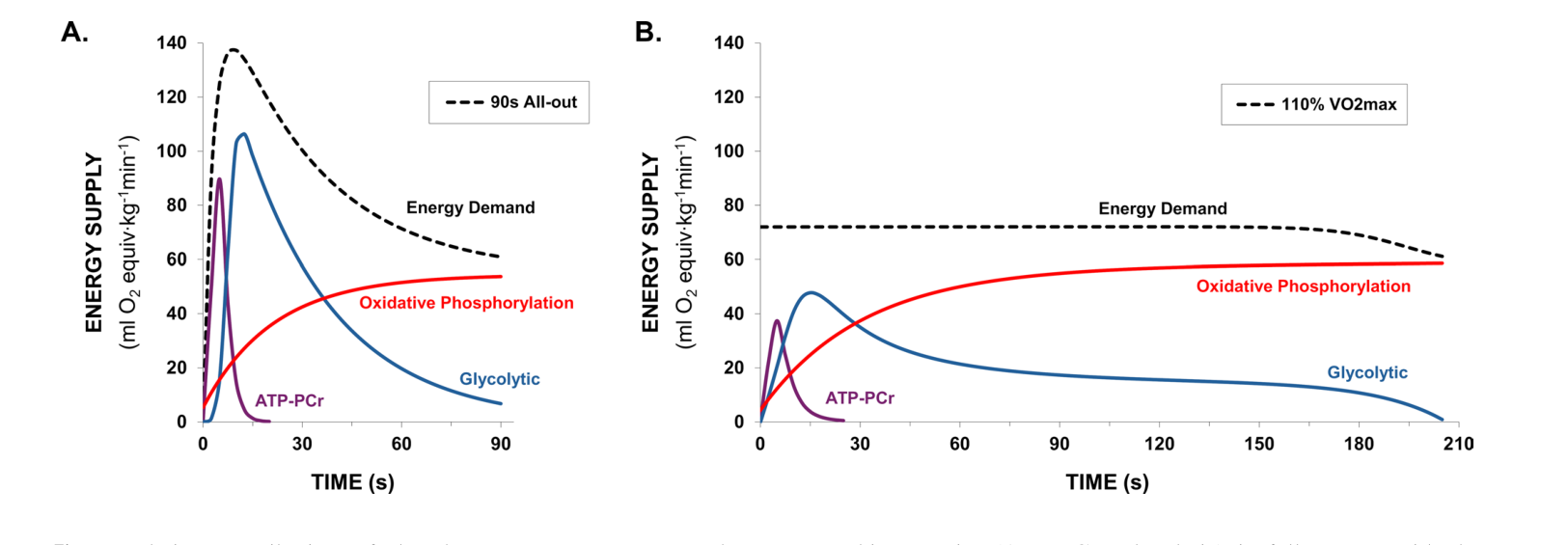 Deux graphiques de l'apport d'énergie au cours du temps. Dès la première seconde, trois courbes montent ensemble : ATP-PCr (violet) qui culmine puis retombe en une quinzaine de secondes, glycolytique (bleu) qui monte, culmine puis décline, et phosphorylation oxydative (rouge) qui monte progressivement et plafonne. La somme suit la demande d'énergie (pointillés).